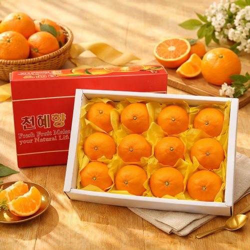 제주 명품 레드향/한라봉/천혜향 선물세트 2.5kg 4.5kg