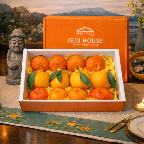 프리미엄 제주 혼합(레드향+한라봉+천혜향)과일 실속선물세트 3kg 5kg