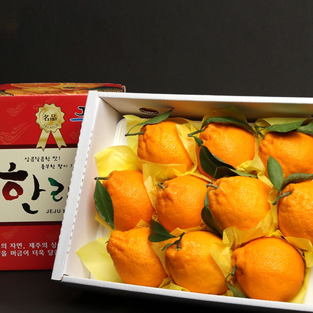 제주 프리미엄 레드향/한라봉 선물세트 3kg 5kg 중대과