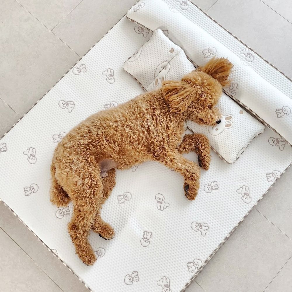 [조아펫] 듀라론 냉감 패드 비숑 국내산 냉매 댕냥이 아이스패드 냉감매트