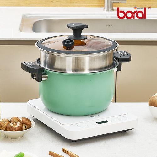 보랄 더 셰프 저압 냄비 10L BR-G2110P