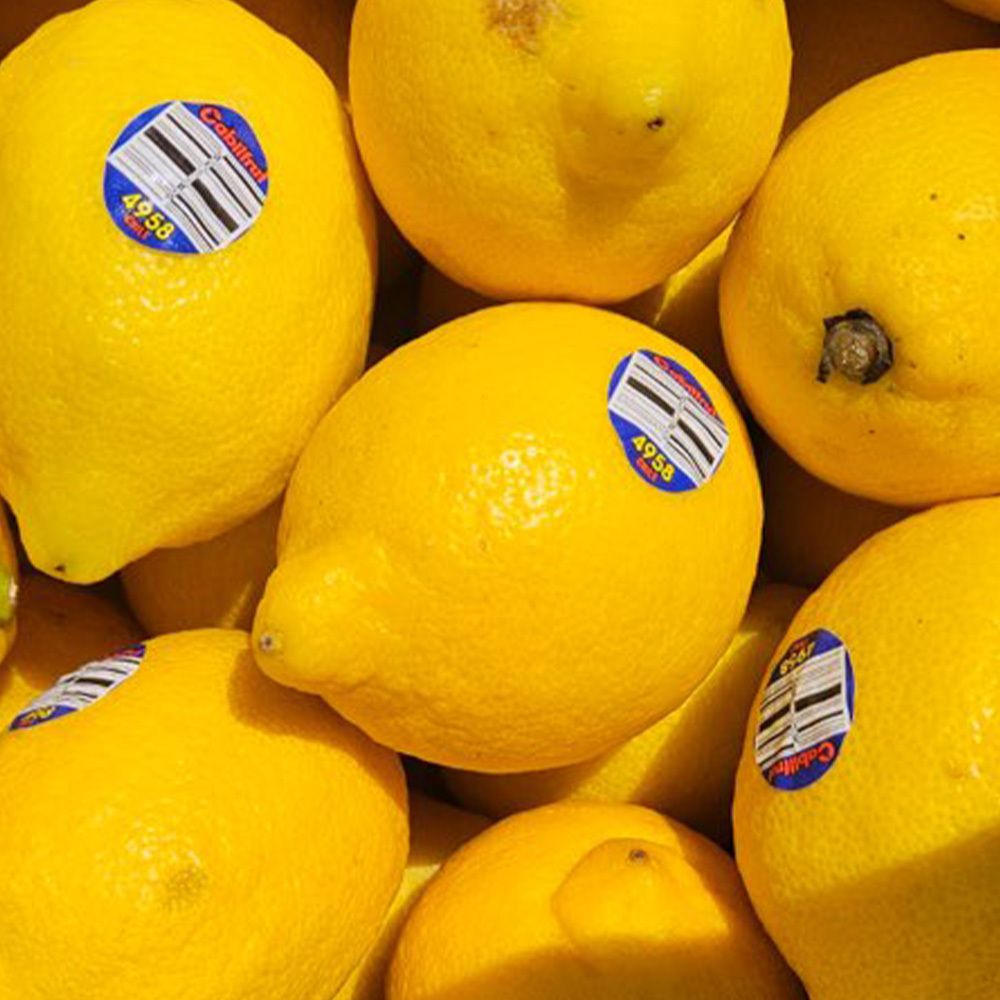 미국산 상큼새콤 팬시레몬 10개 20개(대과/프리미엄 특과)