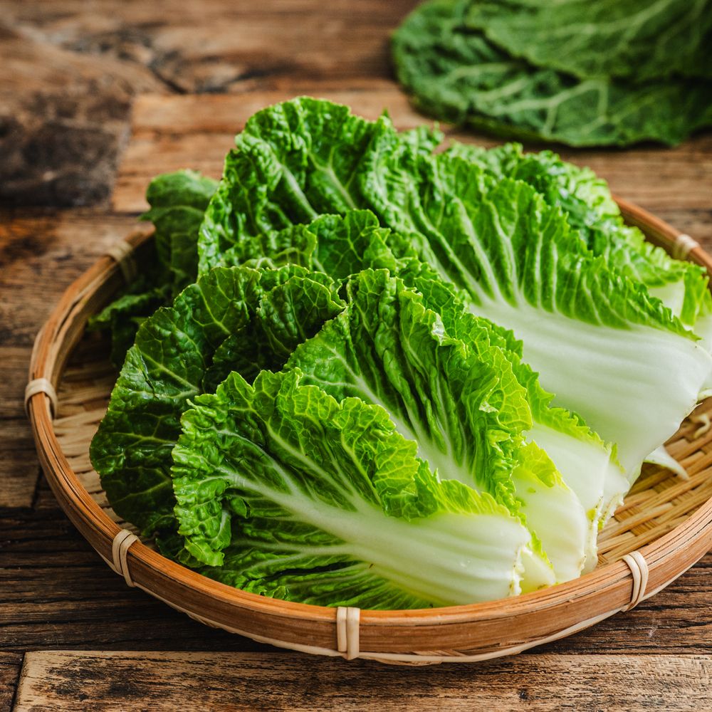 [산지직송] 아삭하고 달큰한 제철 진도산 봄동 (1kg)