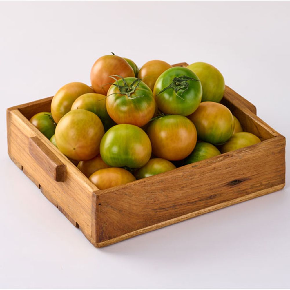 [산지직송] 햇토마토 아삭아삭 단짠단짠 대저토마토 2.5kg