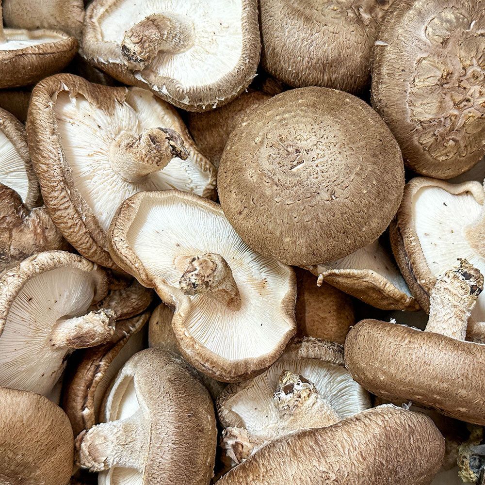 실속 있는 못난이 표고버섯 1kg 2kg