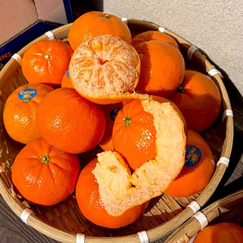 달콤한과즙 캘리포니아 제철 만다린 1kg