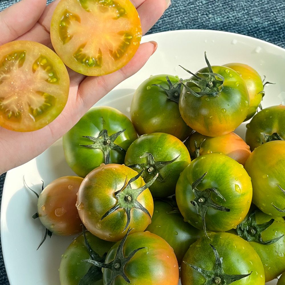 부산 대저 토마토 특품 M 1kg/2.5kg