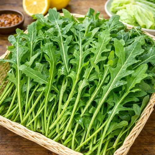 향긋한 국내산 와일드 루꼴라 500g 1kg