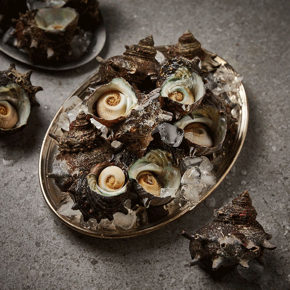 [수산시장] 완도 해녀가 채취한 자연산 '초신선 뿔소라' 1kg + 1kg(약 2~3인)