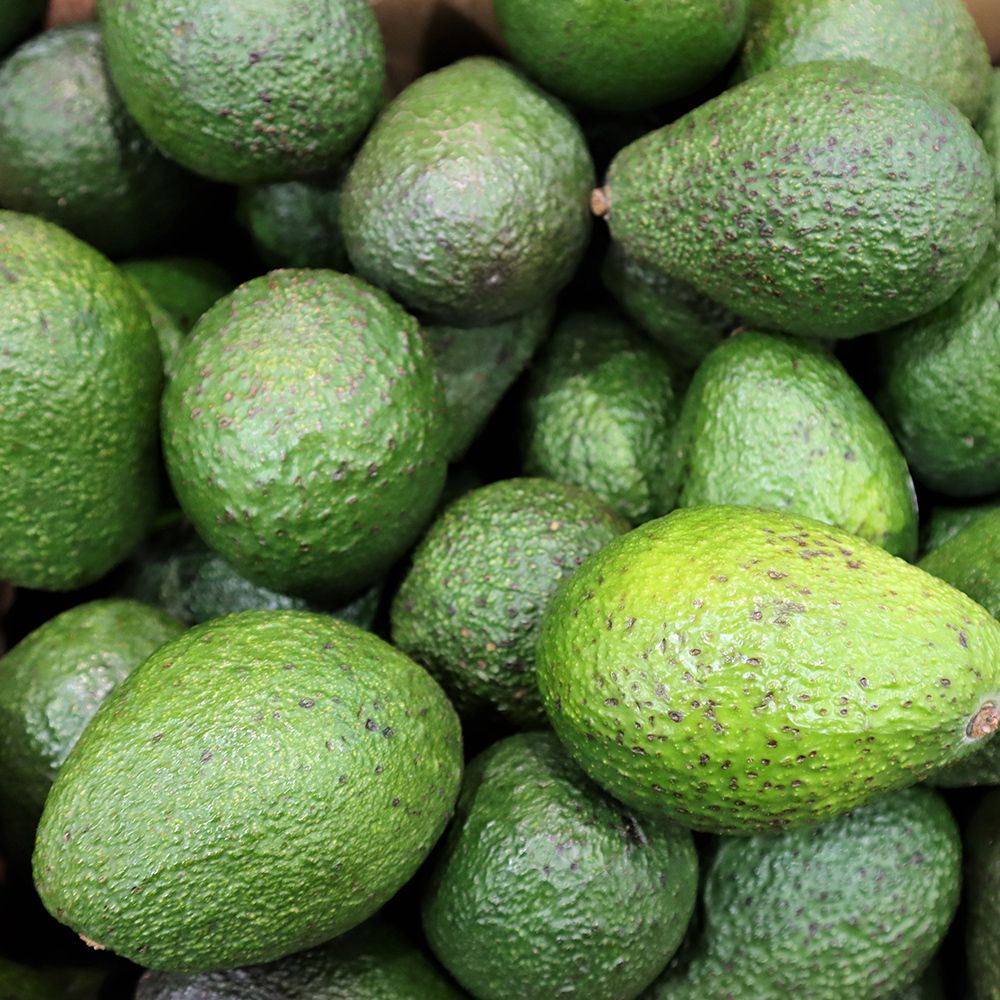 수입과일 아보카도 중대과/특대과 [P]