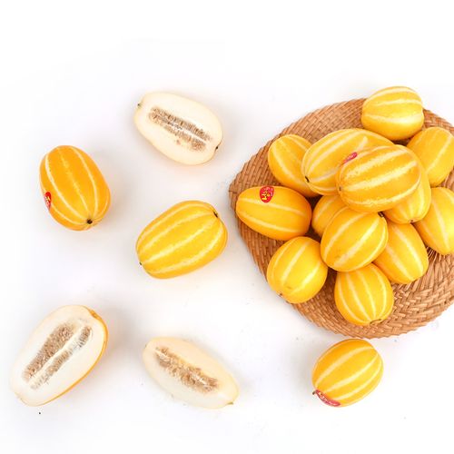 가정용 성주참외 2.5kg/4.5kg(박스포함중량)