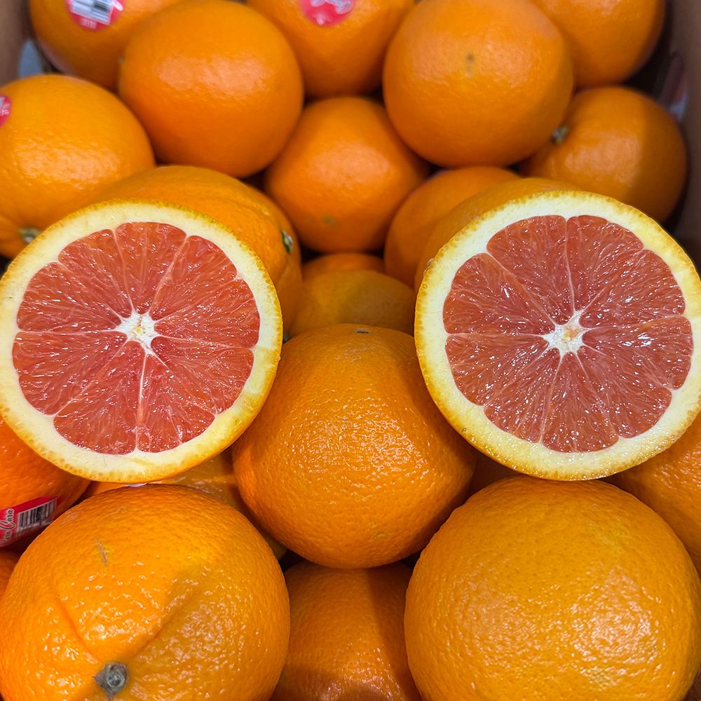 [수입과일] 카라카라 오렌지 M/L [P]