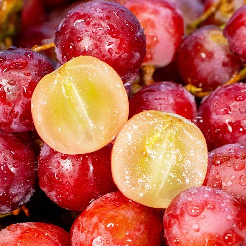 체리+사과+포도 아삭달콤 체리크러쉬 & 파이어크런치 800g