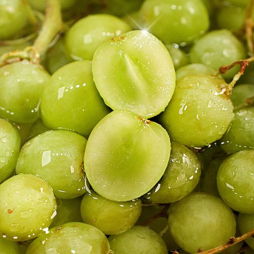 아삭한 사과식감 달콤 오톰크리스피 1팩(800g)