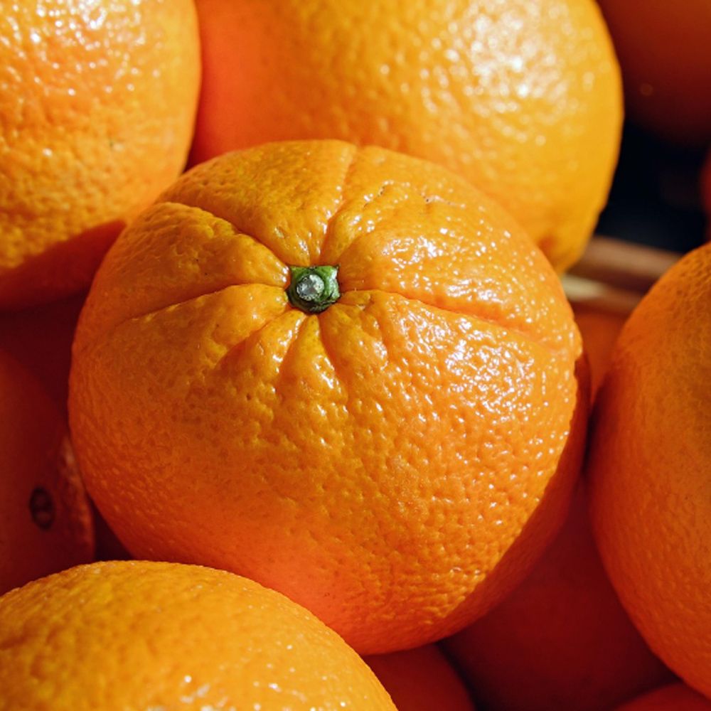 [수입과일] 새콤달콤 비브랜드 네이블 오렌지