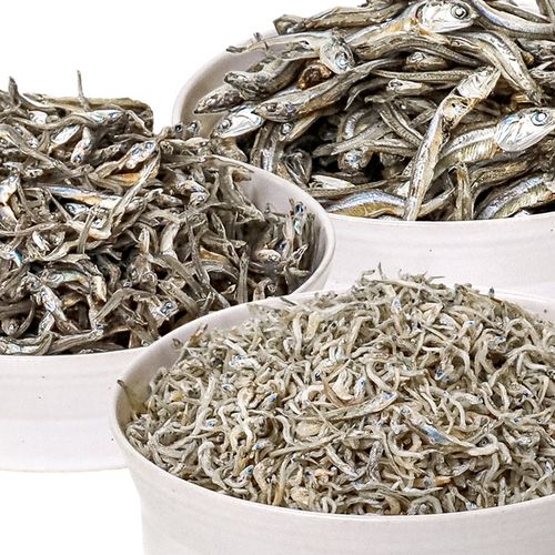 청정 '남해안 멸치 3종' 골라담기 / 아기멸치 가이리멸치 고바멸치