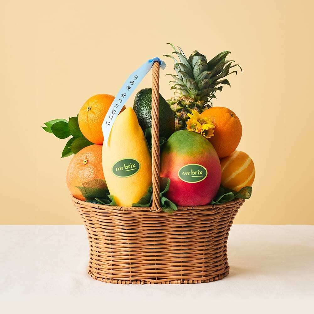 온브릭스 X 고르네 과일바구니 5호