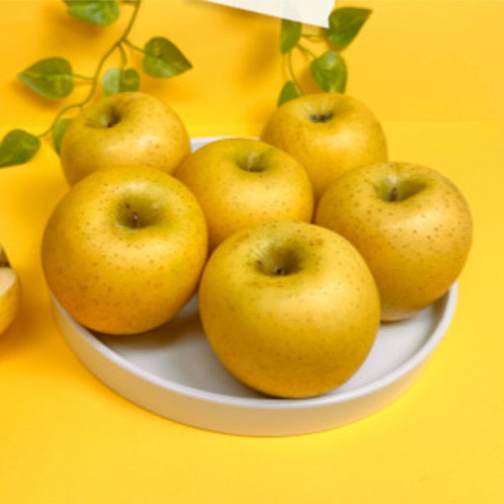 [미소품은] 안동 시나노골드 사과 5kg/12-16과(대과)
