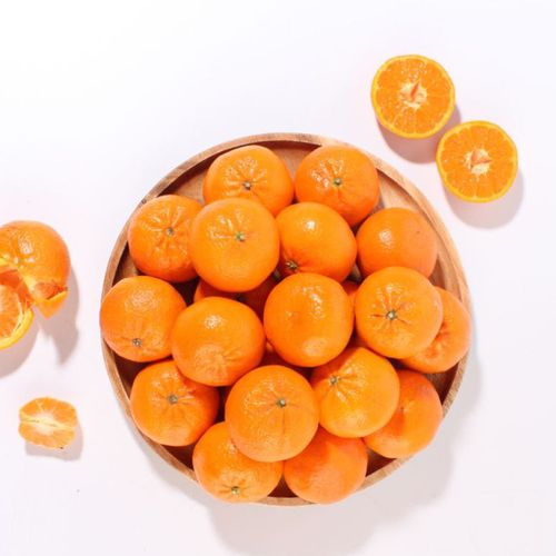 썬키스트 만다린 감귤 1kg~5kg내외