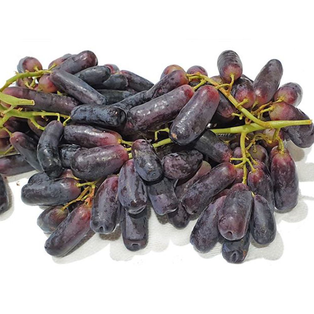 [이색수입포도] 블랙사파이어/오톰크리스피 청포도 