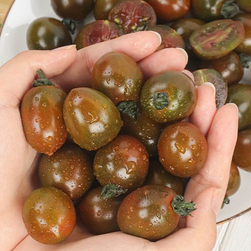 아삭탱글한 식감 26년 흑대추방울토마토 1kg 중대혼합과