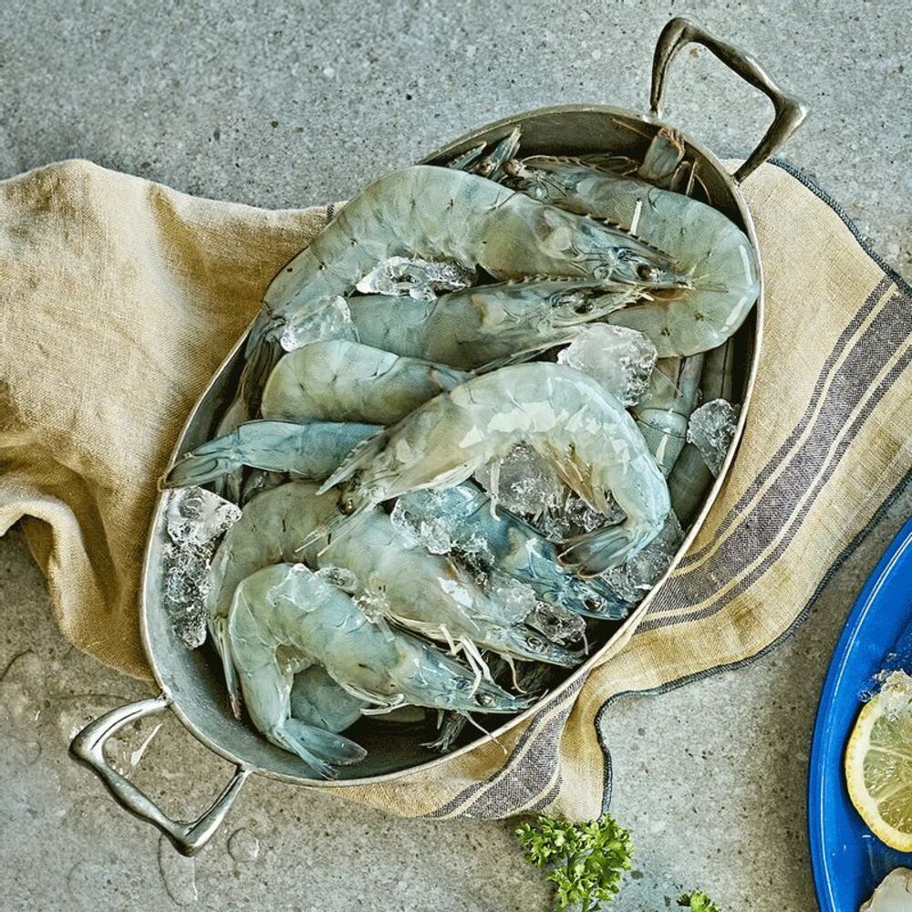 [단4일만] 신안직송! 가을제철 탱글탱글 무항생제 햇대하500g/손질새우 300g