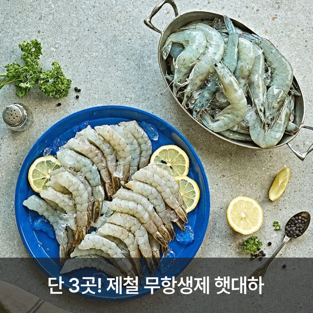 [단4일만] 신안직송! 가을제철 탱글탱글 무항생제 햇대하500g/손질새우 300g