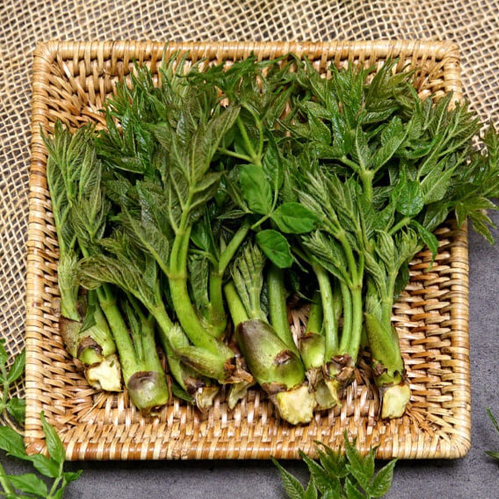 [순창직송] 순창 참두릅 옆순(튀김 장아찌용) 400g+100g (총500g)