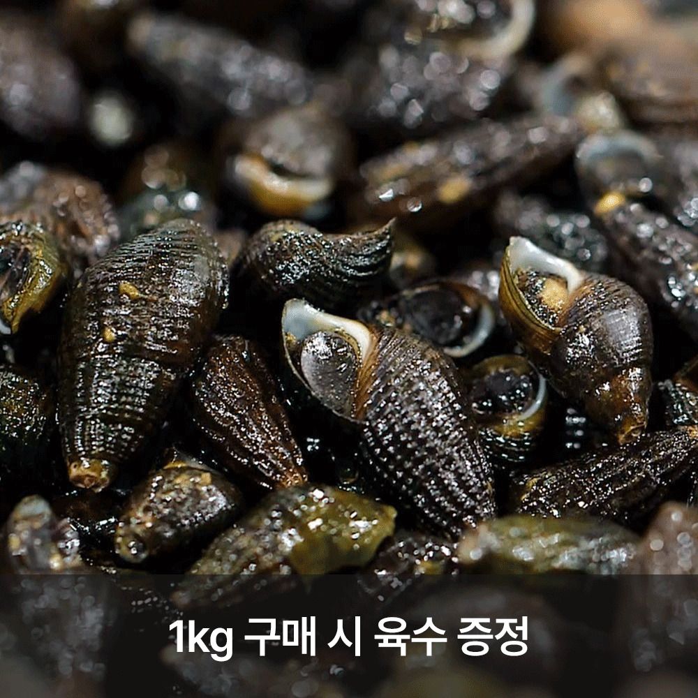 [단4일만] 청정 1급수! 섬진강 제철 '생다슬기 1kg / 깐다슬기 200g'