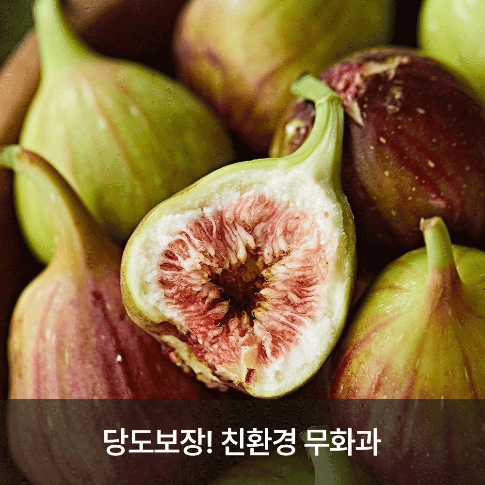 [단3일만] 품질보장! 해남직송 무농약 고당도 하우스 햇 무화과 800g (8~15과)