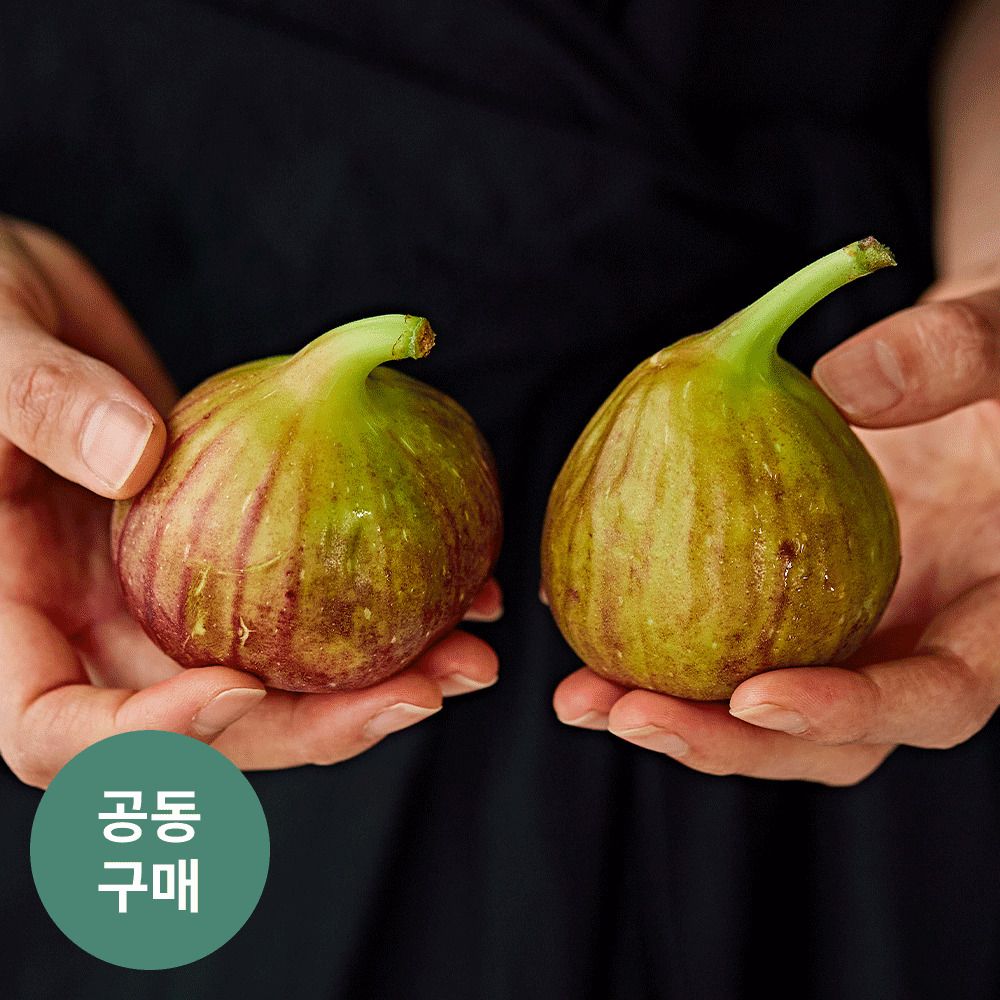 [품질보장] 해남에서 자란 고당도 ‘무농약’ 하우스 꿀무화과(800g)
