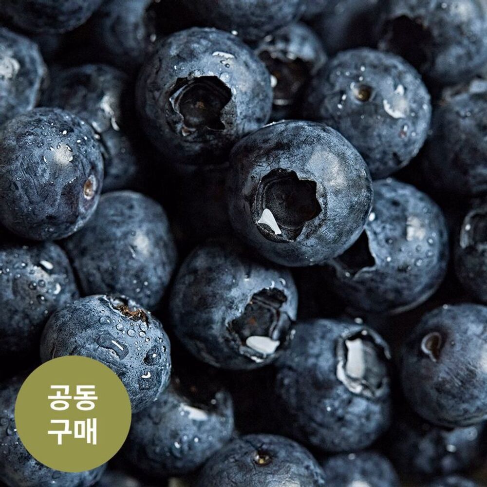 [순창/금산직송] 최소 16mm 이상! 무농약 특품 햇 블루베리(1kg)