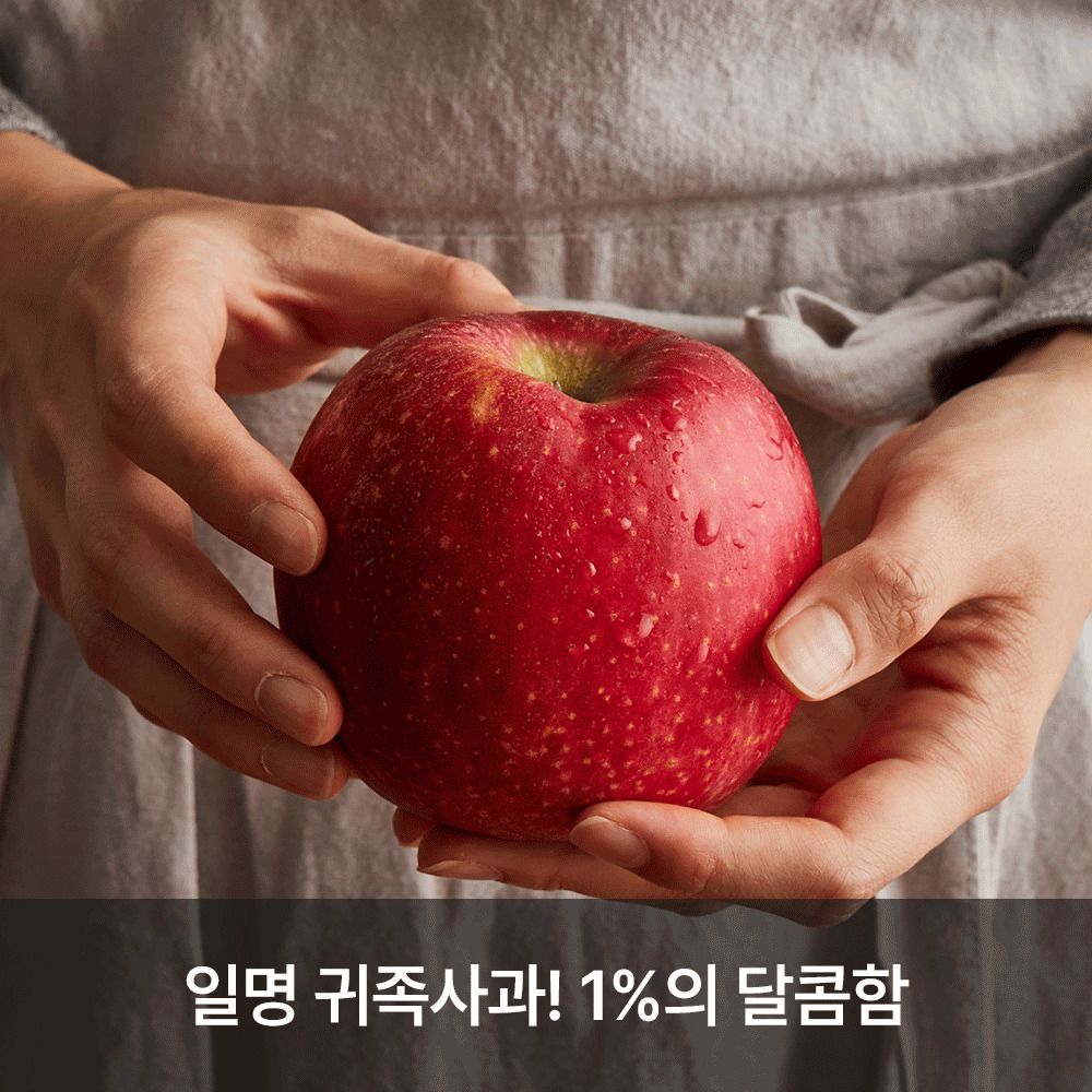 [공동구매] 진한 달콤함! 친환경 농법으로 기른 영주 '감홍' 햇사과