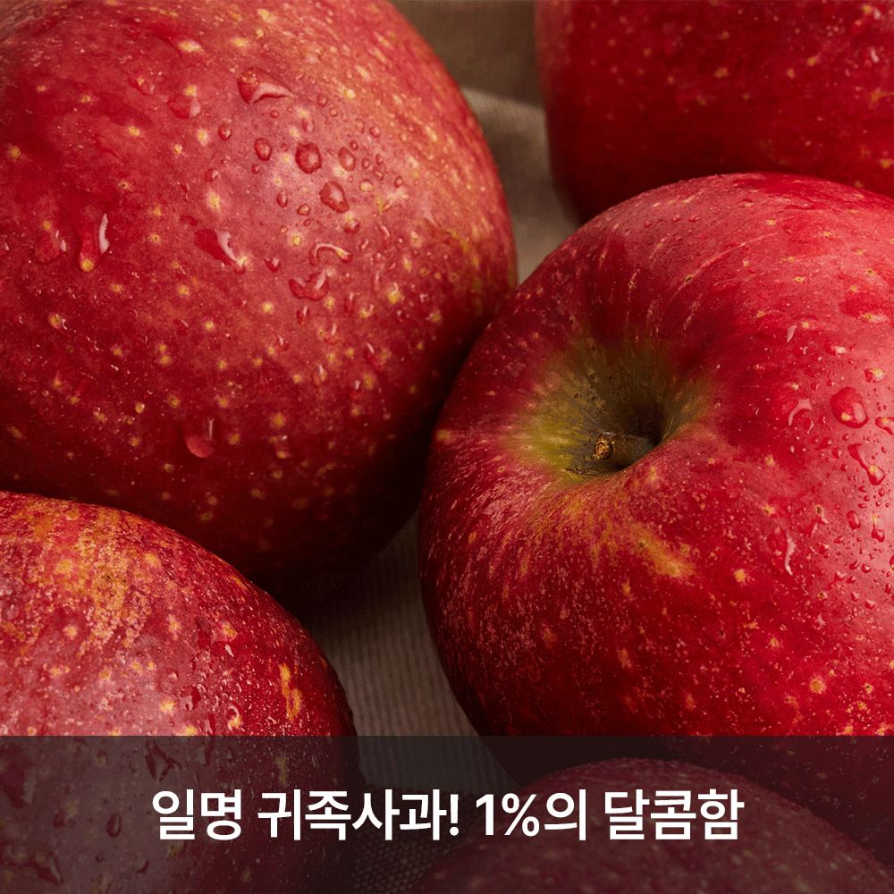 [공동구매] 진한 달콤함! 친환경 농법으로 기른 영주 '감홍' 햇사과