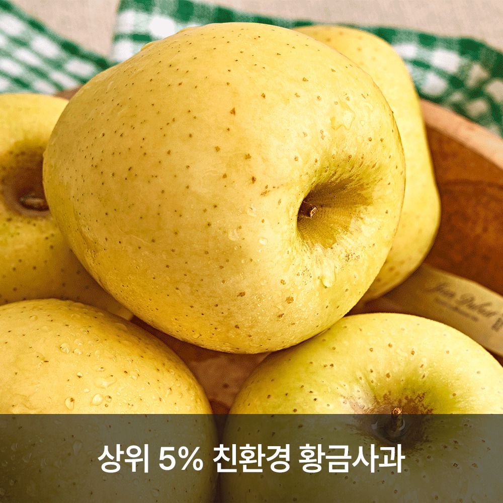 [산지직송] 상위 5% 명품 황금사과 '시나노골드' 2kg (정품/가정용)