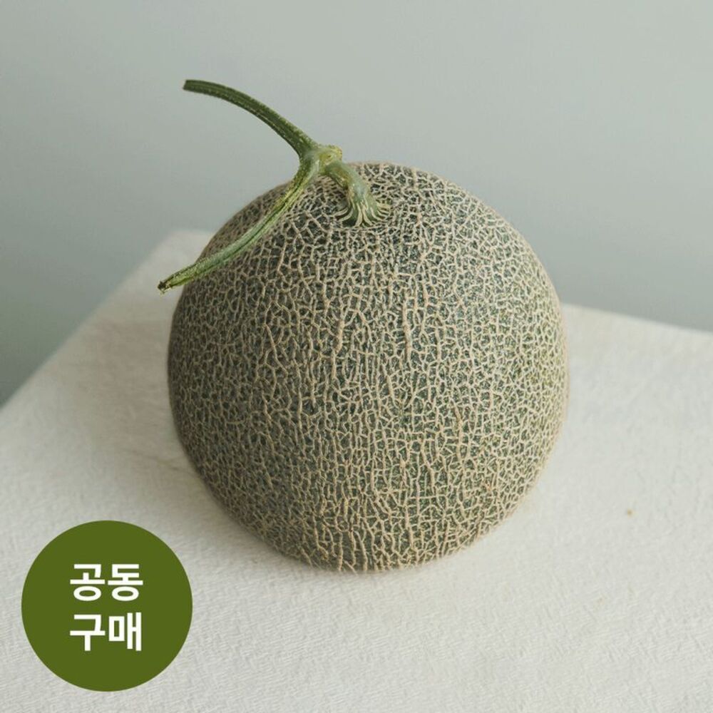 [공동구매] 상위 1%의 맛! 16brix 이상 ‘흑진주 멜론‘ 