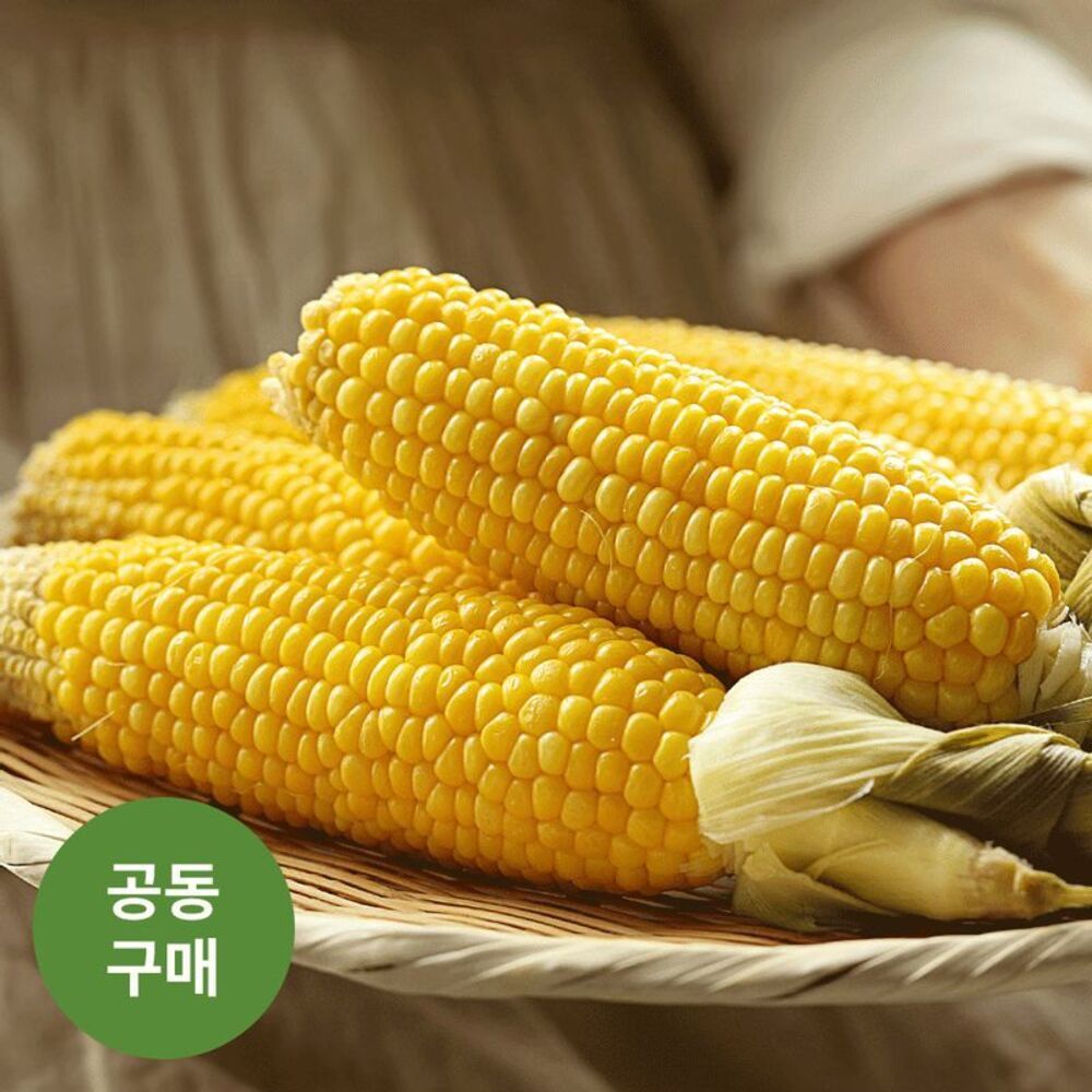 [공동구매] 15cm이상급! 하동 특품 '2026 햇 초당옥수수' (10개)