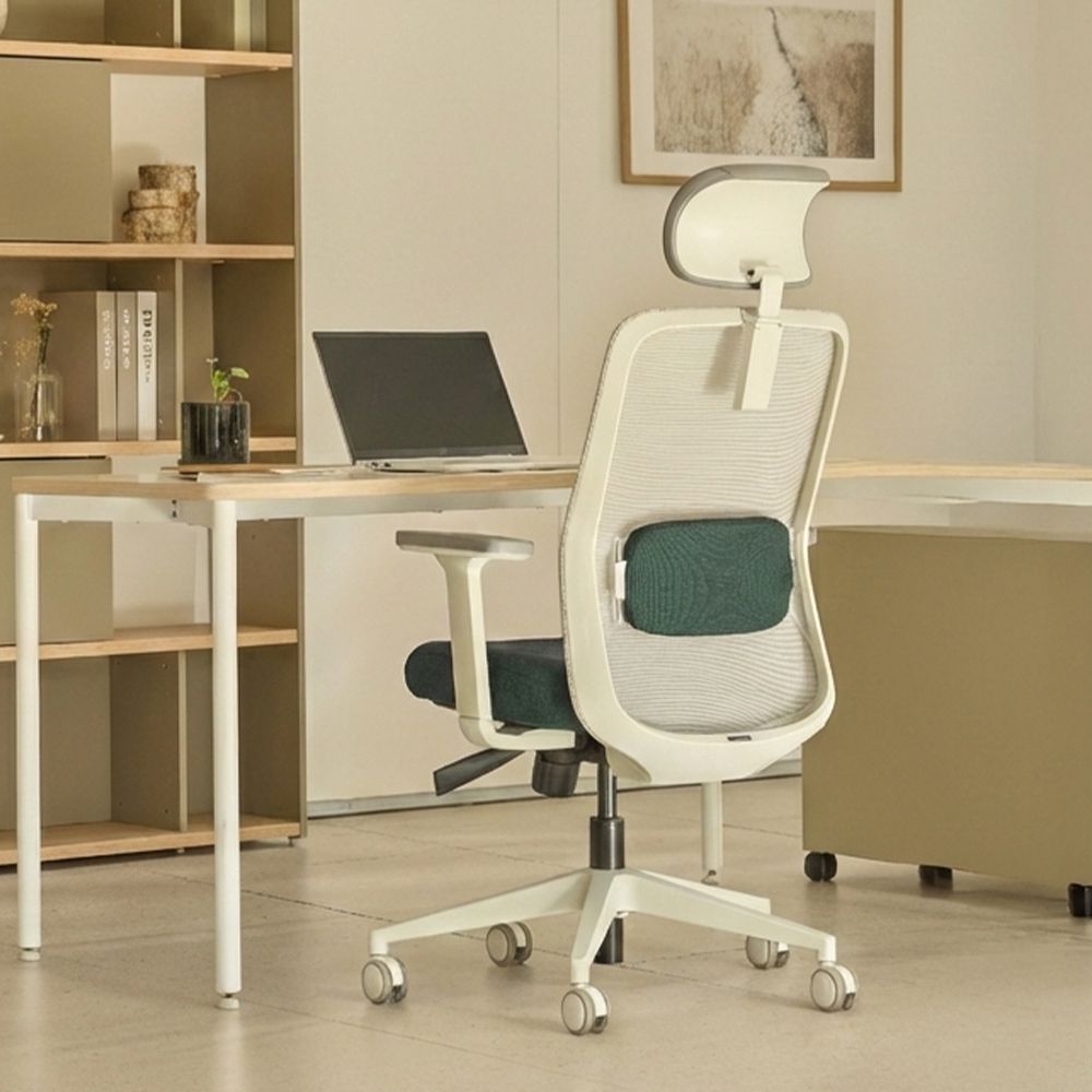 [듀오백] 솜 SOAM+헤드레스트 여성용 맞춤의자 사무용 컴퓨터 허리편한 책상 의자(프레임/색상 택1)