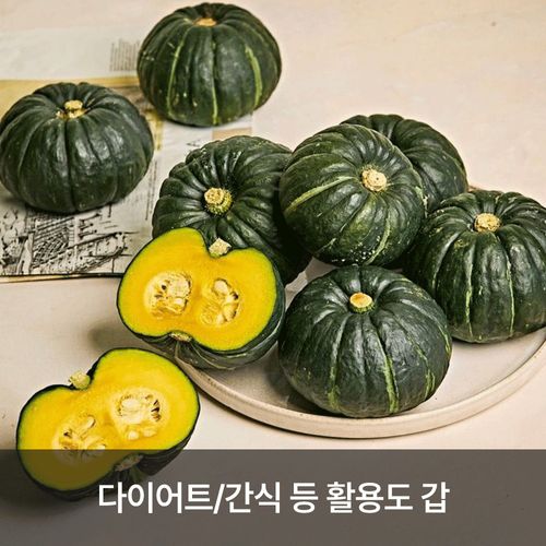 제주 서귀포에서 자란 '달디단 밤호박' 로얄과 3kg