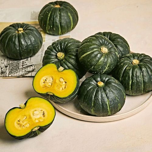 제주 서귀포에서 자란 '달디단 밤호박' 로얄과 3kg