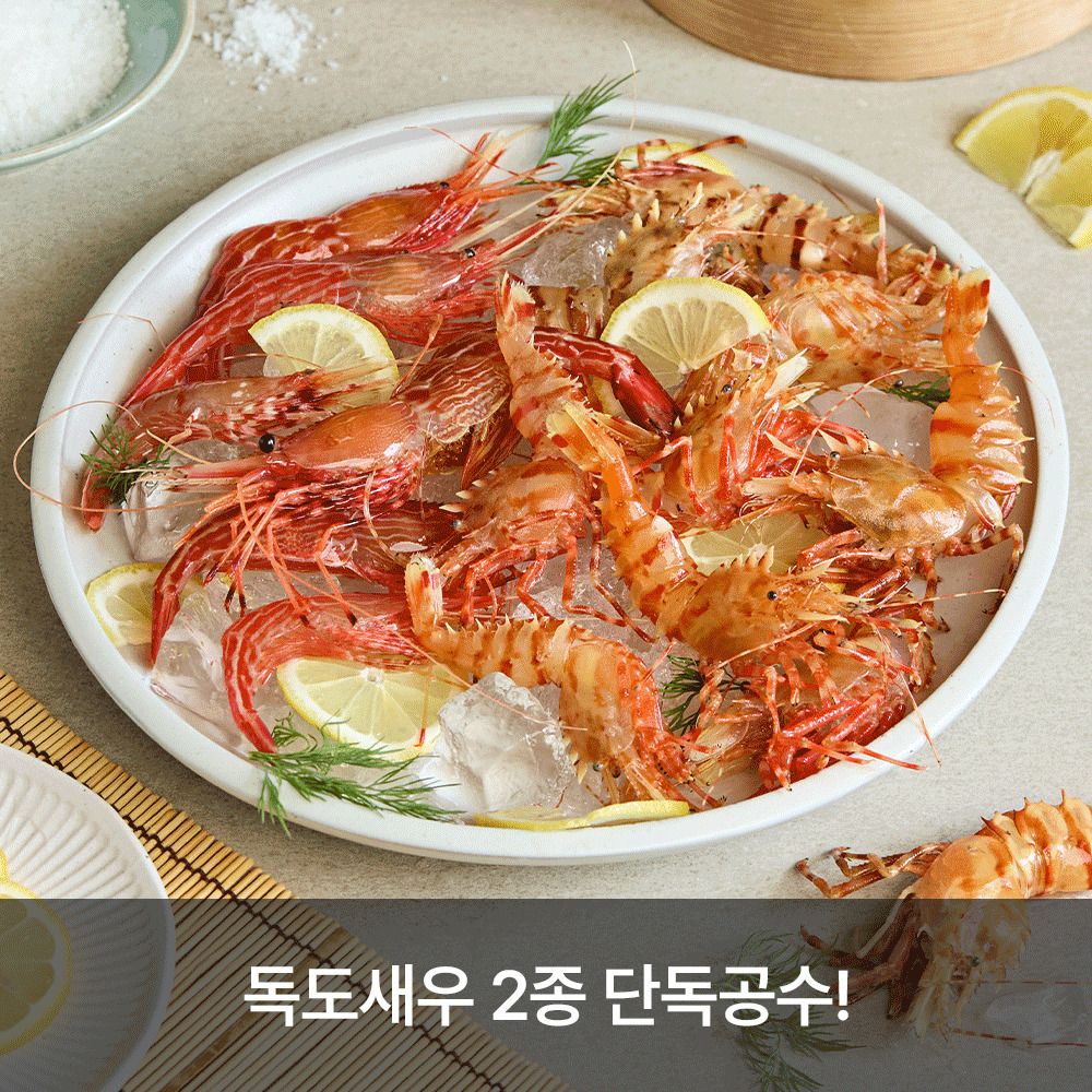 [수산시장] 독도 해역에서 조업한 100% 자연산 '독도 활 꽃새우/닭새우'