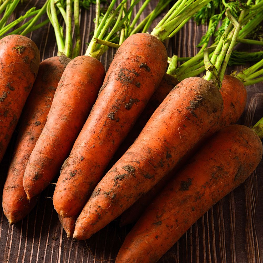 국내산 당근 3kg~10kg(중/상/특) [FD]