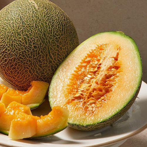 꽉찬과육 풍부한과즙 고당도 하미과멜론(가정용) 1.5kg 실중량