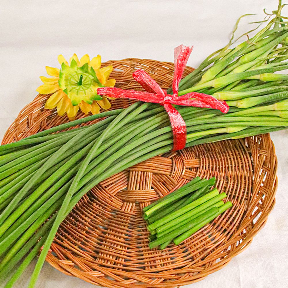 알싸하고 달큰한 26년 창녕 햇마늘쫑 1kg(실중량)