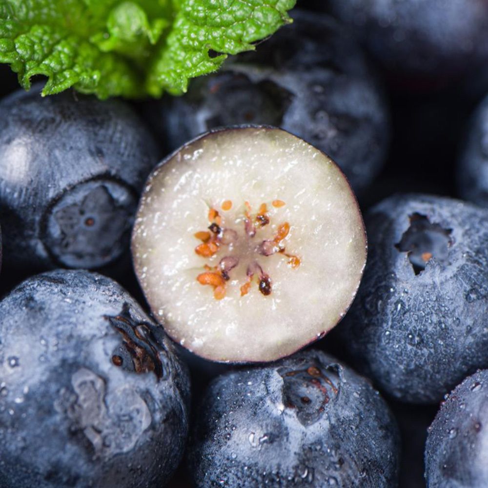 국내산 無농약인증! 새콤달콤 블루베리 대/특