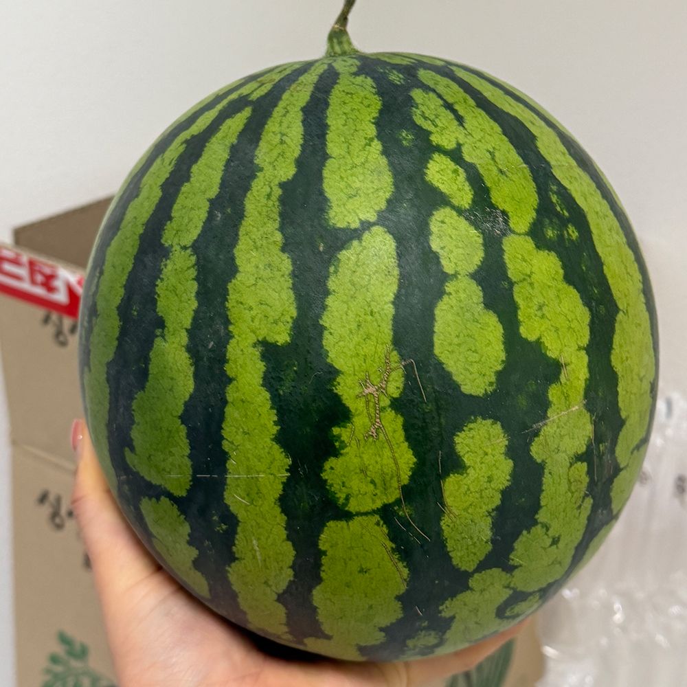 국내산 가정용 하우스 수박 3kg~7kg(박스포함중량) [P]