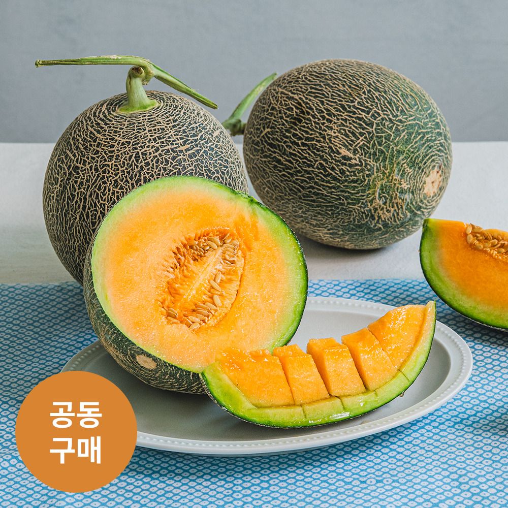 [산지직송] 단 50일만 맛볼 수 있는, 함안 고당도 노을멜론 (4kg/8kg)