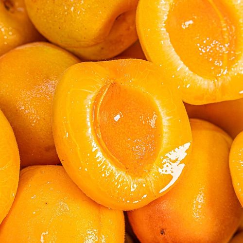 26년 제철 노지살구 혼합과 1kg