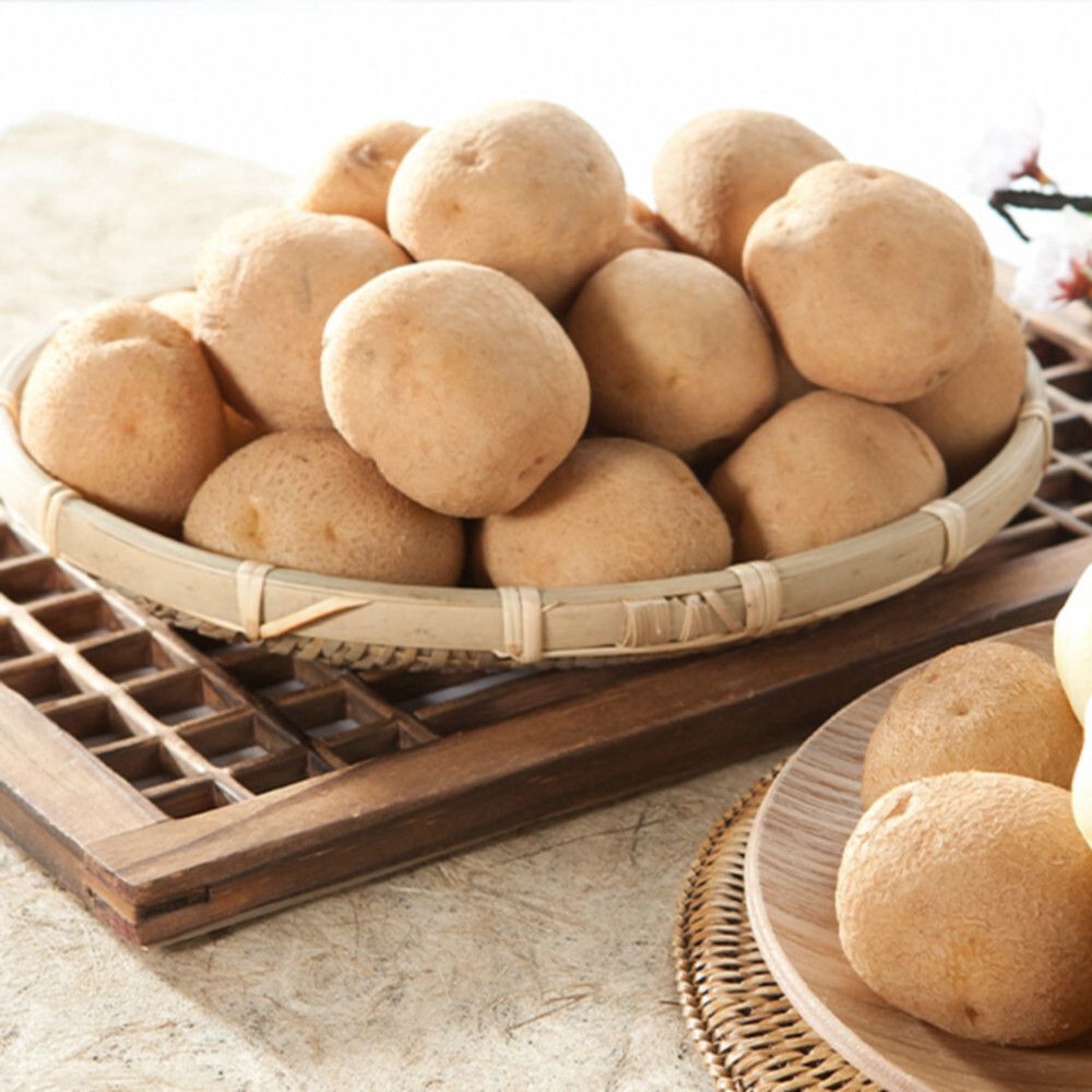 [감자바우] 포슬포슬 햇감자 3kg/15~20개(왕특)/요리용