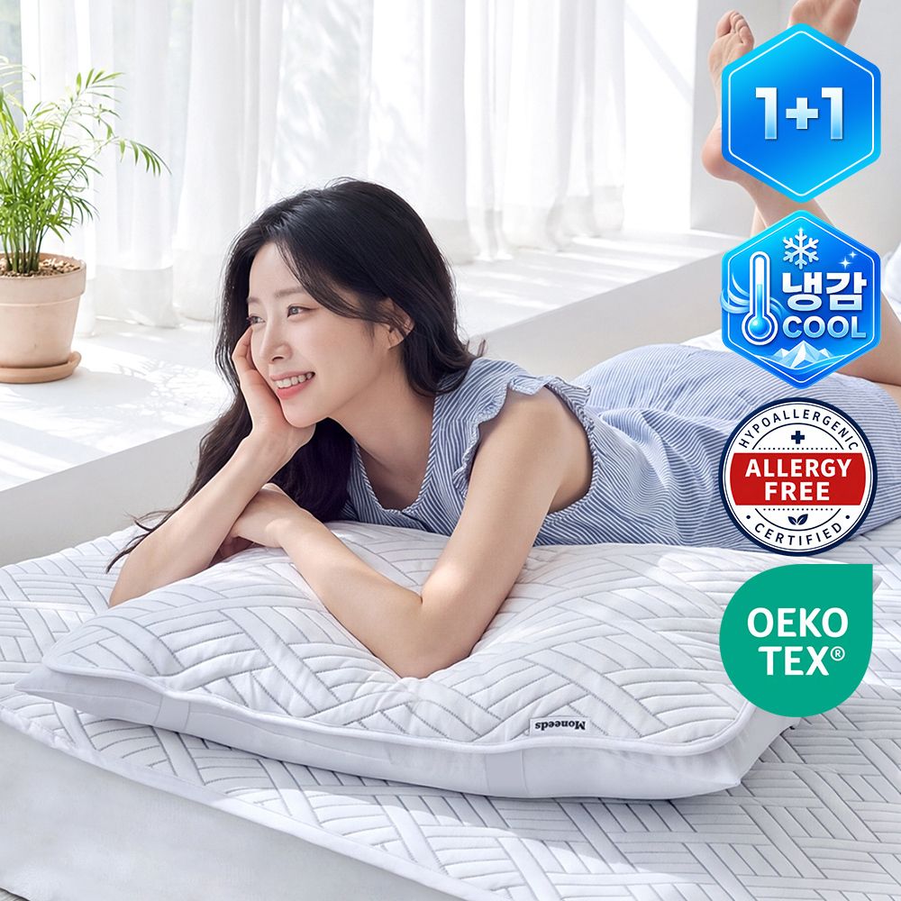 [1+1] 아이스 쿨텍스 베개커버 냉감소재 밴딩 덧베개 (2P)